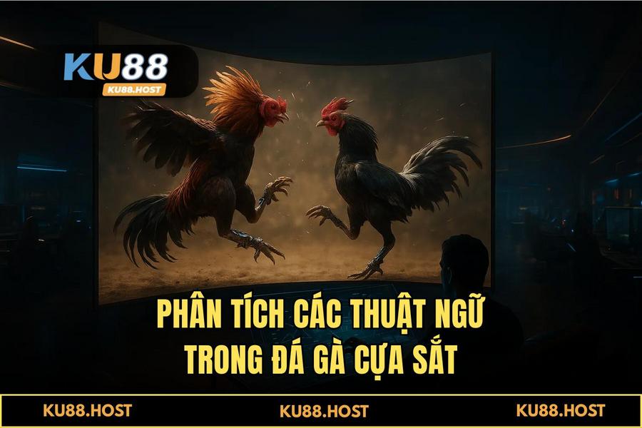 Phân tích các loại hình đá gà đỉnh cao: Từ cựa dao Philippines đến cựa sắt Thomo