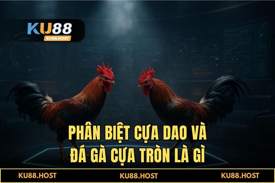 Phân tích các loại hình đá gà đỉnh cao: Từ cựa dao Philippines đến cựa sắt Thomo